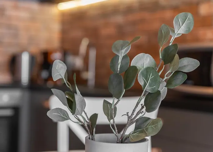 4000 Stare Bulwary No 1 Στσέτσιν